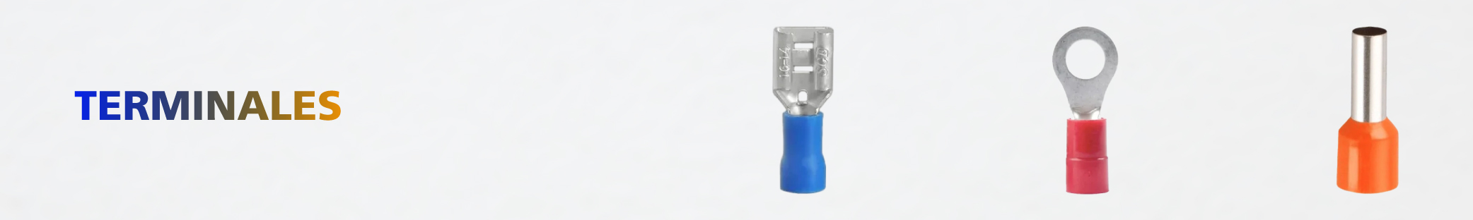 Terminales