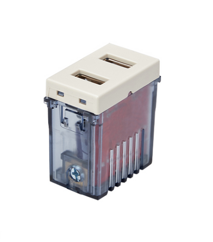 Módulo toma usb doble champagne