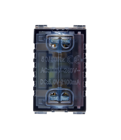 Módulo toma usb doble champagne