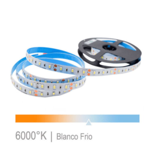 Cinta Led 14.4w 24V SMD 60L luz fría